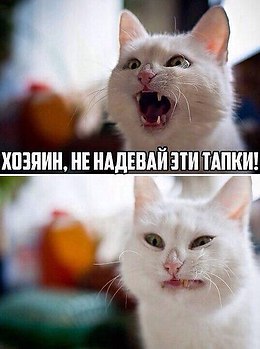 Amenty Idalir - 26  2015  23:01