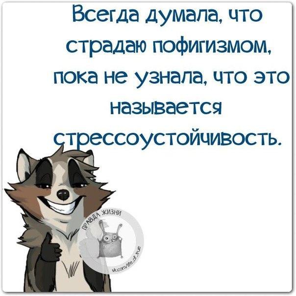  - 3  2015  10:19