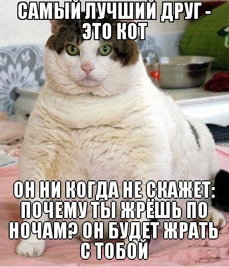 Art & Fun - 17  2015  12:14