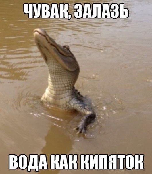 ������������ ���� - 20 ���� 2015 � 10:16