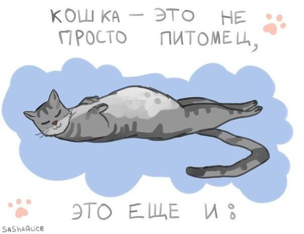       - 26  2015  04:32
