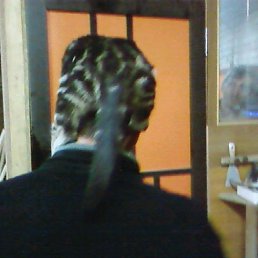 ������, �����������, 55 ���