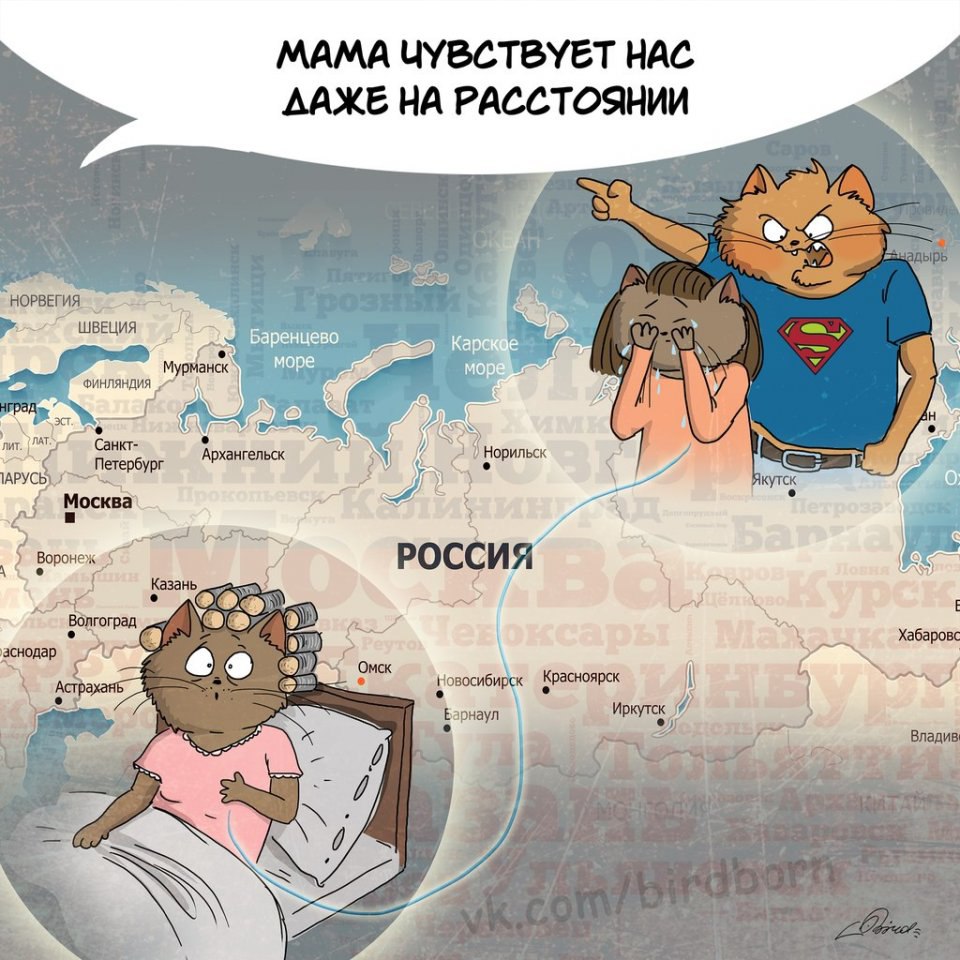      ... - 6