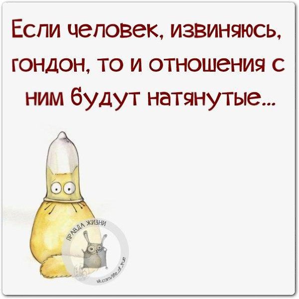   - 1  2015  21:31