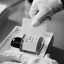 ���� ���, ������, 49 ��� - ��������� 28 ���� 2015 � ������ ���� ����������