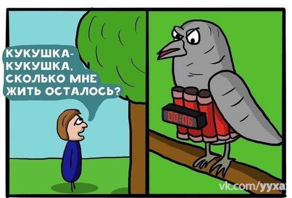     - 7  2015  20:20