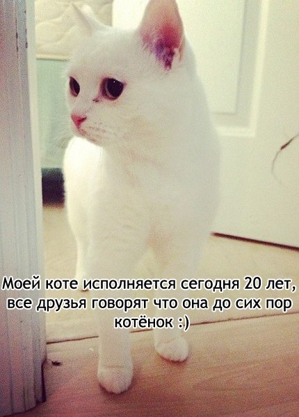    - 7  2015  16:11