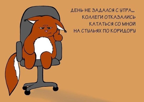   - 19  2015  22:00 - 11