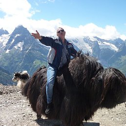 �����, ����������, 50 ���