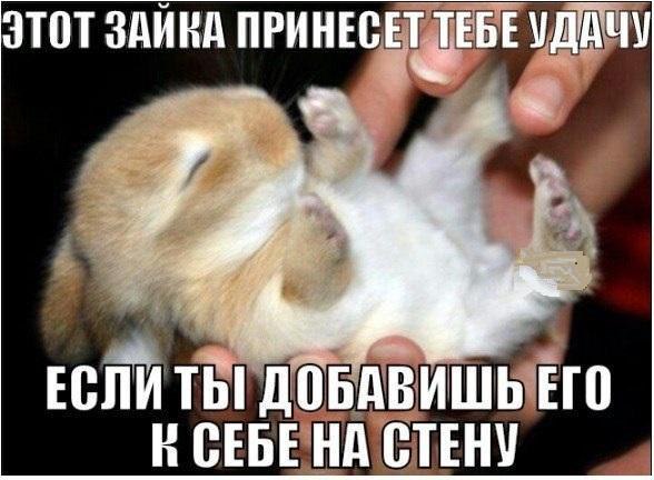 Art & Fun - 13  2015  10:02