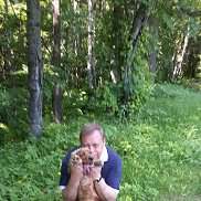 , 61 , -
