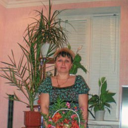 �����, �����������, 58 ���