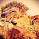 ���� Galla, ������� - ��������� 16 ���� 2015 � ������ ������ ��������