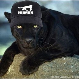 ���� ������, ��������, 57 ��� - ��������� 19 ��� 2015