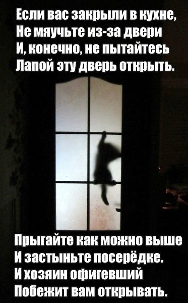  - 18  2015  14:42