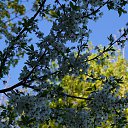  , , 49  -  13  2015   :))