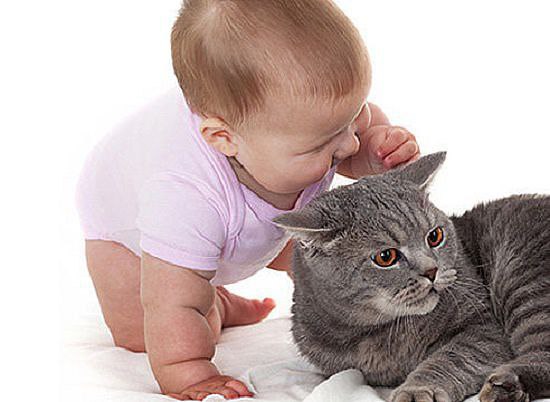 ......СИЖУ НА ДИЕТЕ........СЫН КОРМИТ КОТА ,СЛЫШУ ГОВОРИТ ЕМУ ... ..- "ТЫ , Б@ЛЯТЬ , ЛИБО ЖРИ , ...