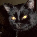 ���� ��������, ���� - ��������� 21 ��� 2015