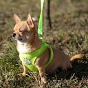 ���� �������, ���������, 80 ��� - ��������� 22 ������ 2015