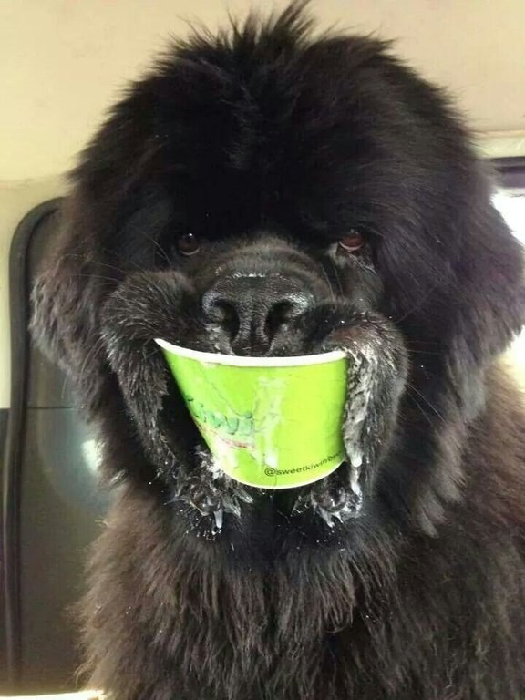 .    - 9