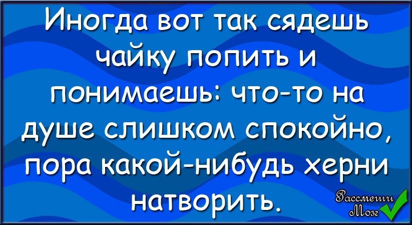  - 13  2015  19:07