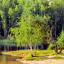 ���� ������, ������ ��������, 56 ��� - ��������� 13 ������� 2015 � ������ �������