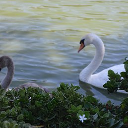 ���� �����, ����� - ��������� 7 ���� 2015