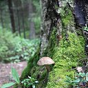 ���� ������, ��������, 103 ���� - ��������� 4 ������� 2015 � ������ ��������. ���� ���. ���� 2015.�