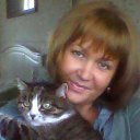 ���� ����, �����-���������, 58 ��� - ��������� 29 ���� 2015 � ������ ���� ����������