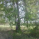 �����,���! �� ������� ���� ����������