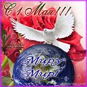 ���� �������, �����-���������, 54 ���� - ��������� 1 ��� 2015 � ������ ������ ��������