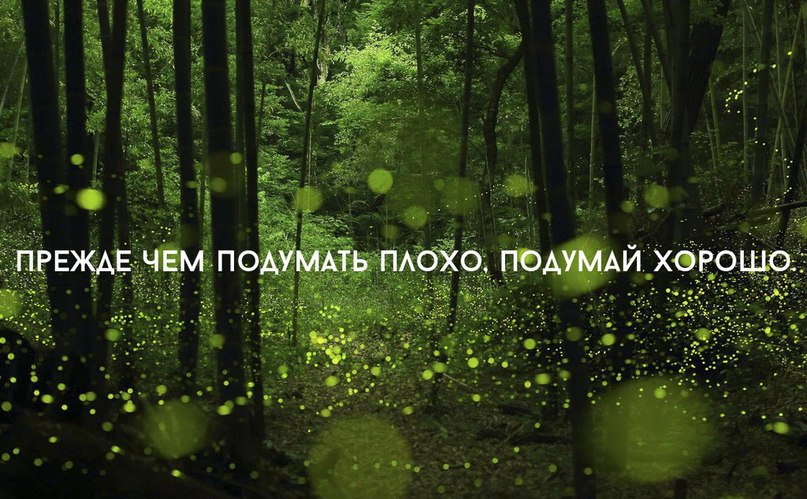   - 7  2015  21:22