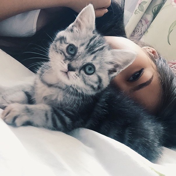 *** - 19  2015  08:50