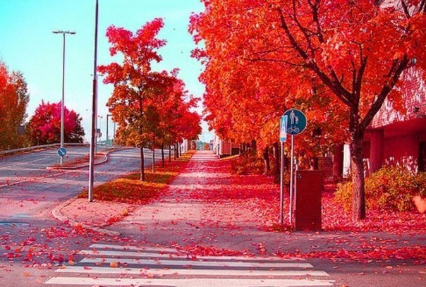  , , .#_@interestplanet_ru
