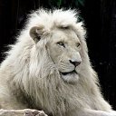 ���� ������, �����-��������� - ��������� 19 �������� 2015