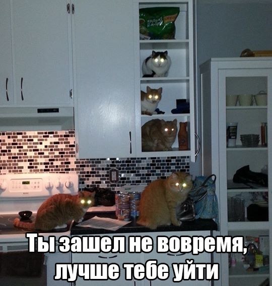  -  - 18  2015  18:21
