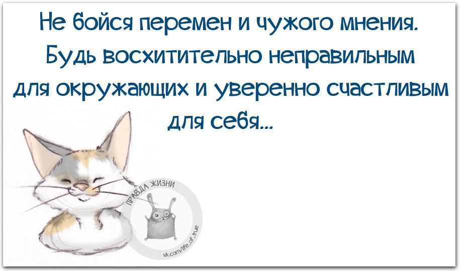  - 23  2015  17:46