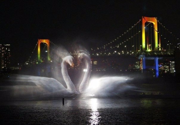   "Odaiba Water Illumination", .  ,     ... - 2