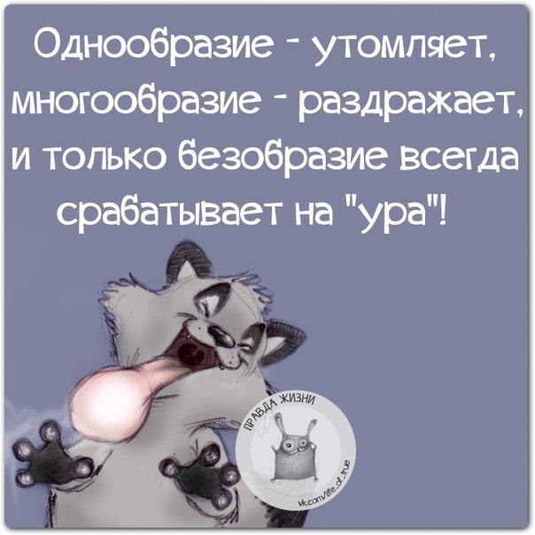   - 22  2015  10:10