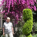  Edgard Nik., , 75  -  8  2015    2014.    