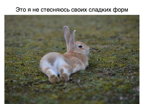 ,    . - 9