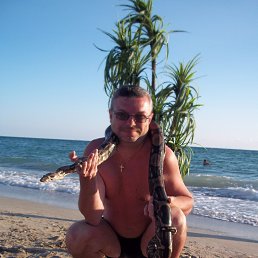 ������, ����, 51 ���