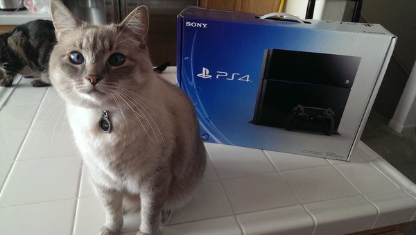 Take-Two:  PS4  Xbox One   