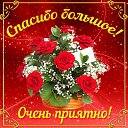 ���� ������, �������, 62 ���� - ��������� 14 ���� 2015 � ������ �������� ��������