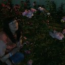 ���� �����, ������ - ��������� 28 ��� 2015 � ������ ������ ��������