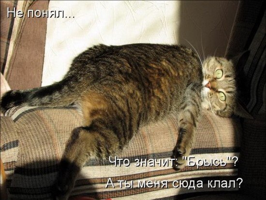       - 2  2015  16:53