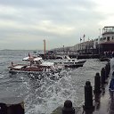 ���� �������, ������, 49 ��� - ��������� 6 ��� 2015 � ������ �����, ������, ����