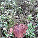 ���� ������, �����-���������, 70 ��� - ��������� 9 ������� 2015 � ������ ������ 2015�