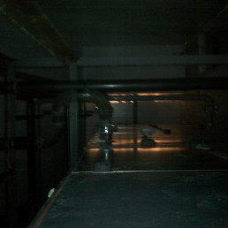 ������, ��������, 49 ���