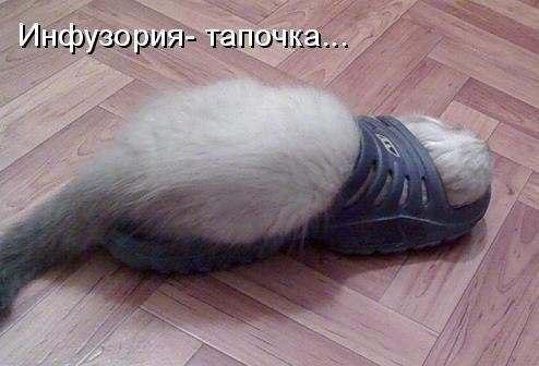       - 2  2015  03:03